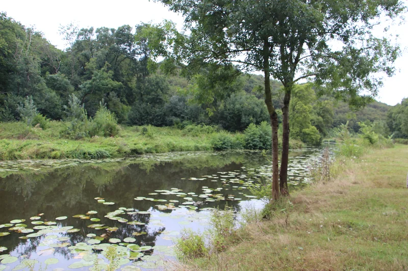 Randonnée GR® 3 - La Loire Sauvage à Pied · La Baule-Escoublac