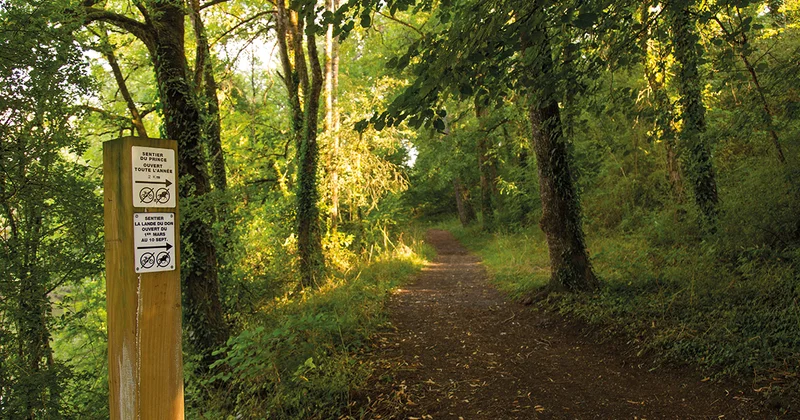 Randonnée Sentier du Prince · Moisdon-la-Rivière