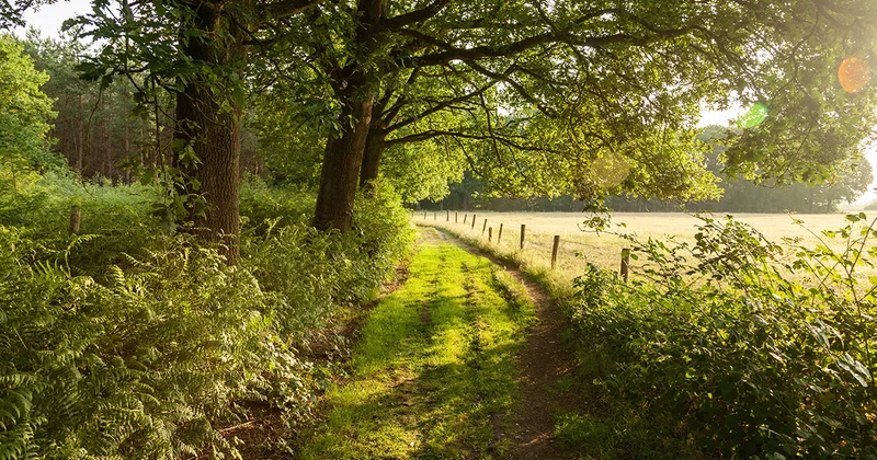 Randonnée Sentier de la Joussaie · Erbray