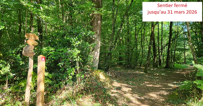 Randonnée Sentier des Gabelous · Juigné-des-Moutiers