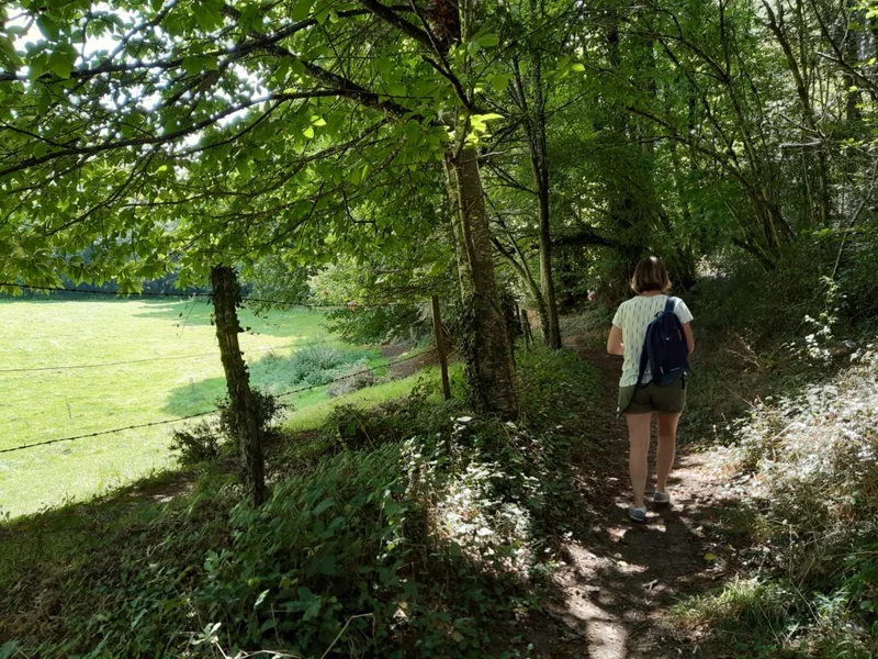 Randonnée Circuit de la Fleurancellerie · La Regrippière