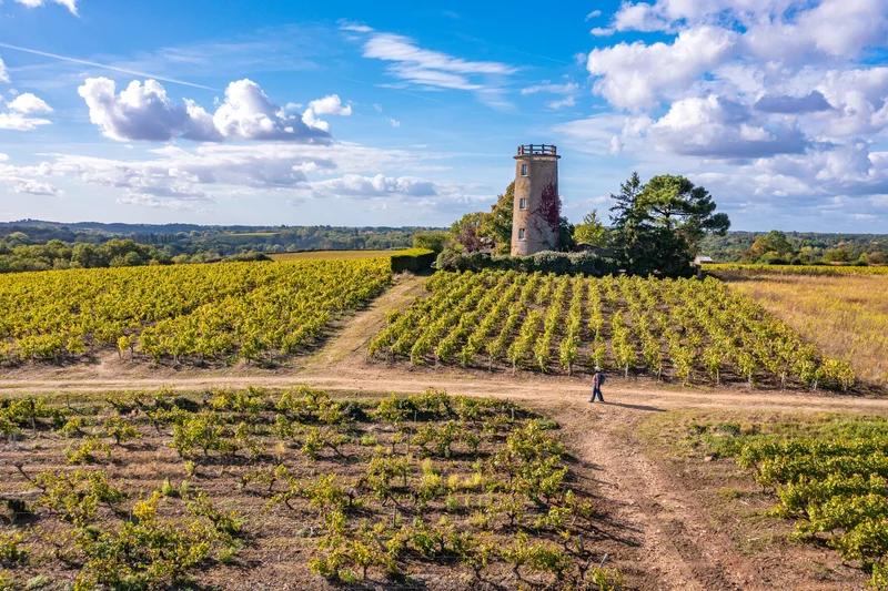Randonnée Circuit entre Sèvre et Côteaux · La Caillaudière