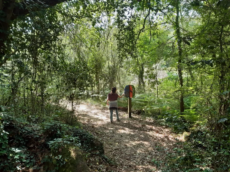 Randonnée GR® de Pays Sèvre et Maine - Boucle du vignoble · Nantes