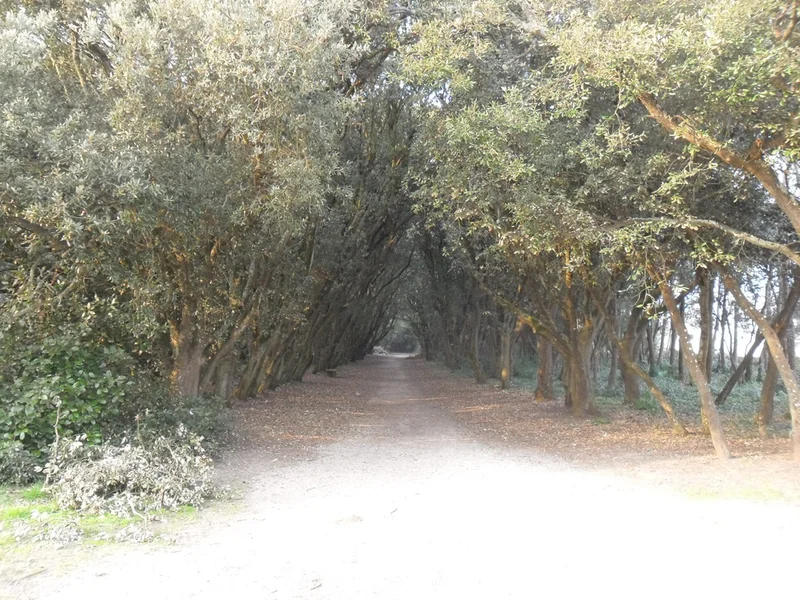 Randonnée Les Landes du Gouverneur · Le Croisic