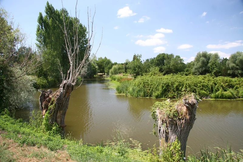 Randonnée Circuit de l'Île Adet · Frossay