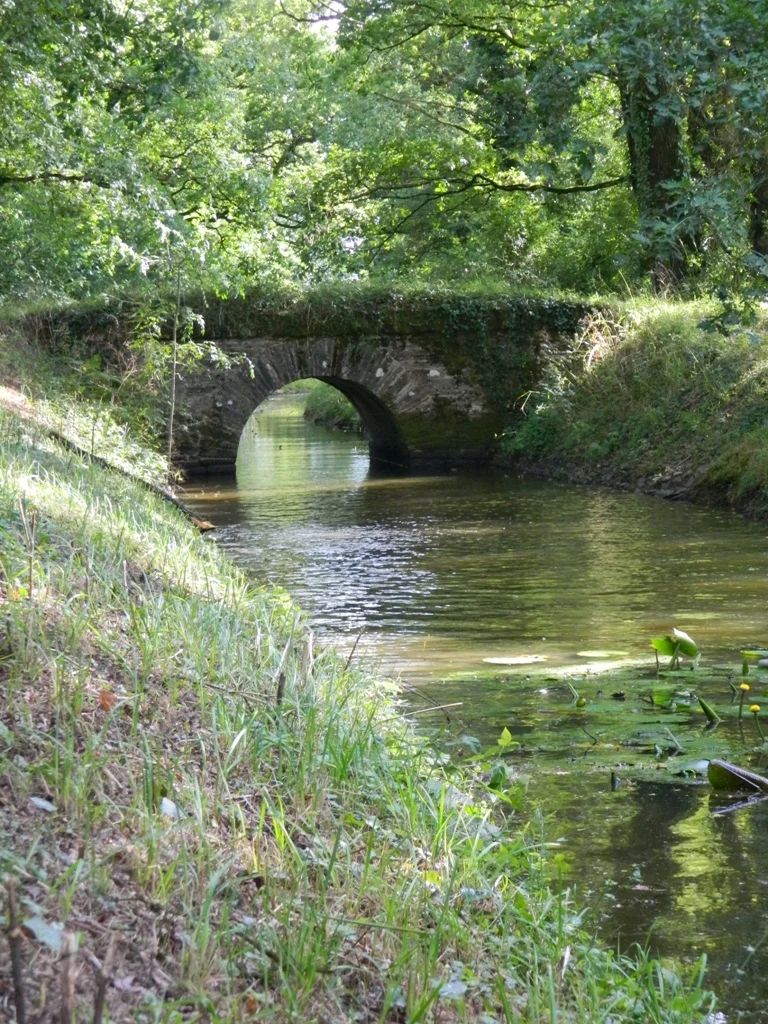 VTT Base départementale secteur Vioreau - N°5 - Rouge - Rigole d'alimentation · Riaillé