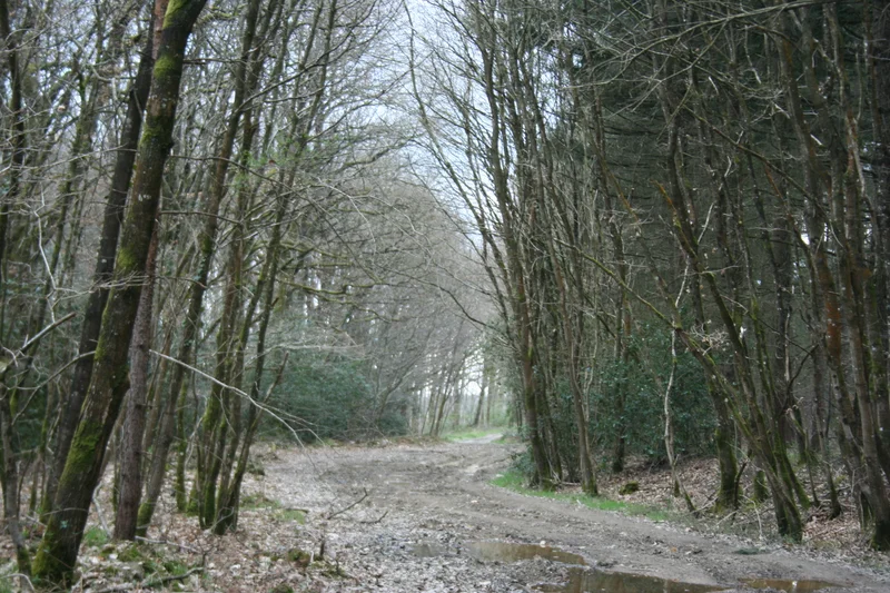 VTT Base départementale secteur Vioreau - N°6 - Noir - Vallée de l'Erdre · Riaillé