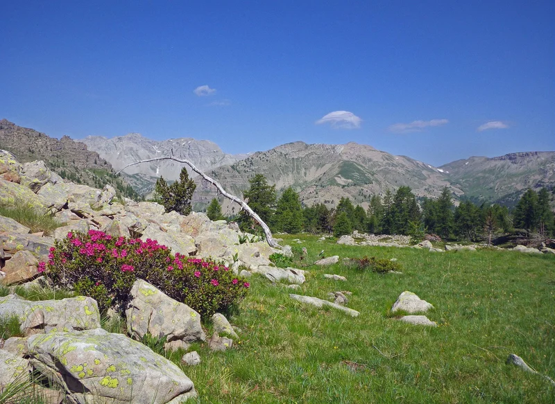 Randonnée Petit circuit du vallon de Gorgias · Entraunes
