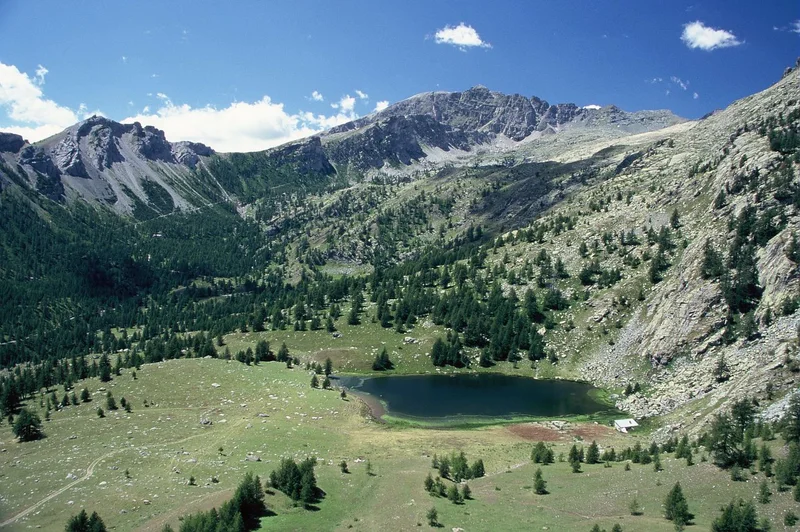 Randonnée Le lac des Grenouilles, entre forêt et alpage · Tende