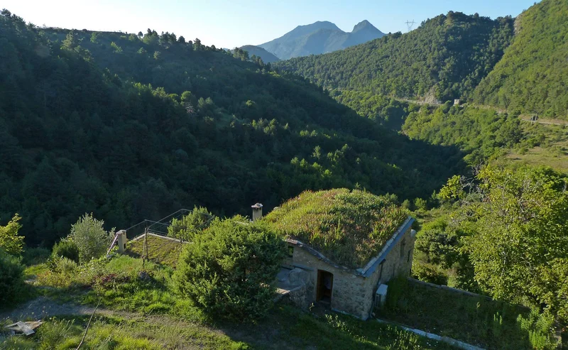 Randonnée Randonnée dans les forêts de la Baisse de Levens · Breil-sur-Roya