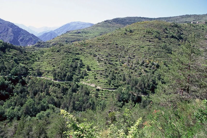 Randonnée Sur l'Alta Via Ligure - La boucle du Mont Torrage · Saorge