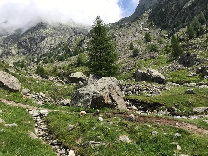 Randonnée Balade sur les traces de Belle et Sébastien · Belvédère