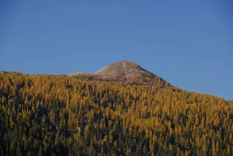 Randonnée La Cime de Piagu par le Refuge de la Maïris · Saint-Martin-Vésubie