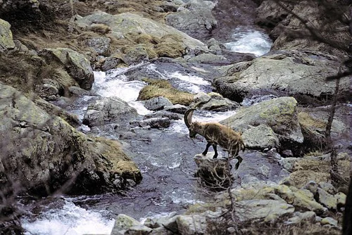 Randonnée Le Lac Agnel · Tende