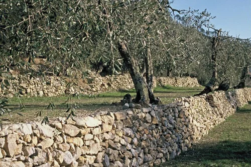 Randonnée De Breil à Piène Haute · Breil-sur-Roya