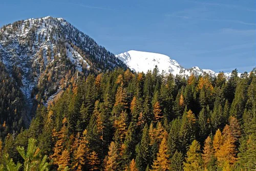 Randonnée Sur le plateau des Adus · Saint-Martin-Vésubie