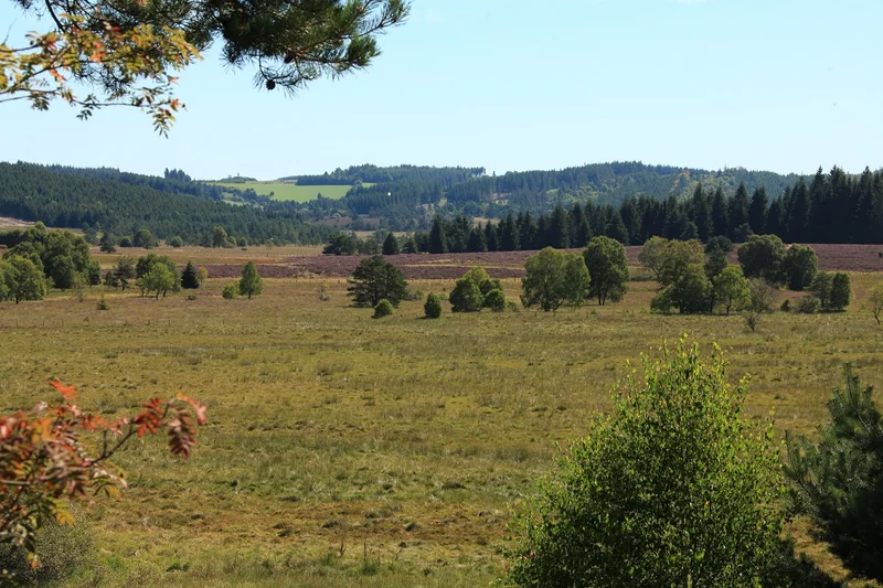 Randonnée Du site des Cars au Longeyroux · Saint-Merd-les-Oussines