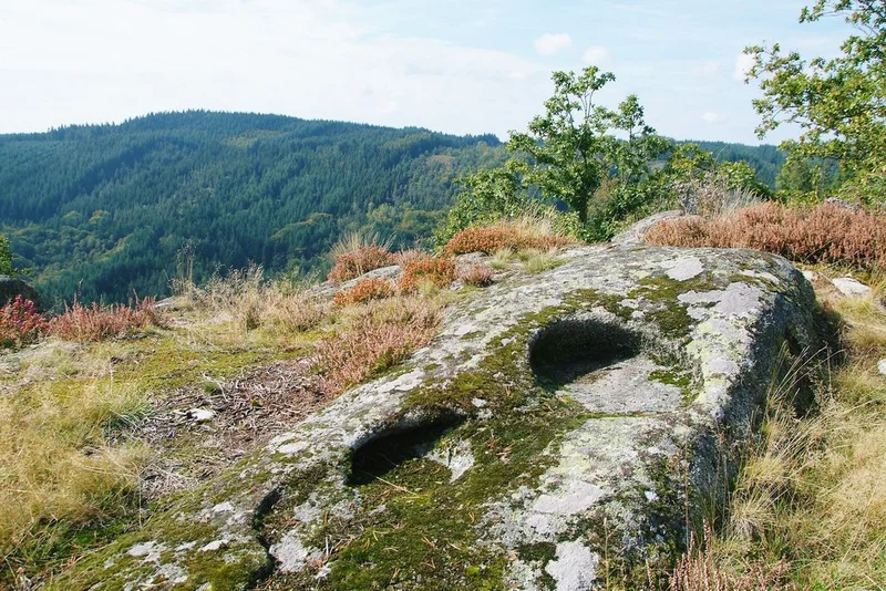 Randonnée Entre Vedrenne et la Brette · Égletons