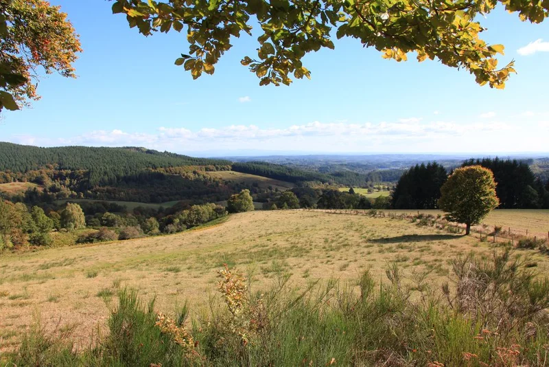 Randonnée Le Toit du Limousin · Meymac