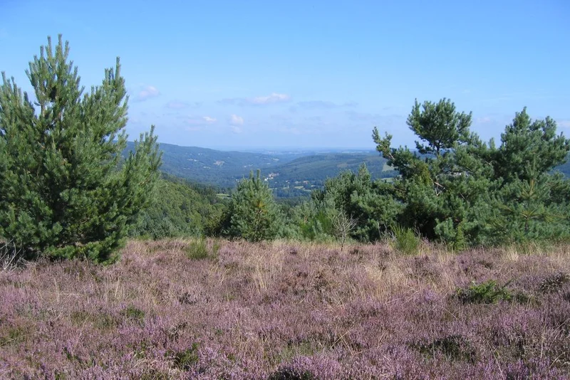 Randonnée La Lande du Puy Raynaud · Clairavaux