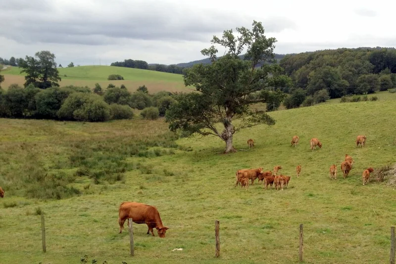 Randonnée Les Vestiges Gallo-Romains des Mazières · Gourdon