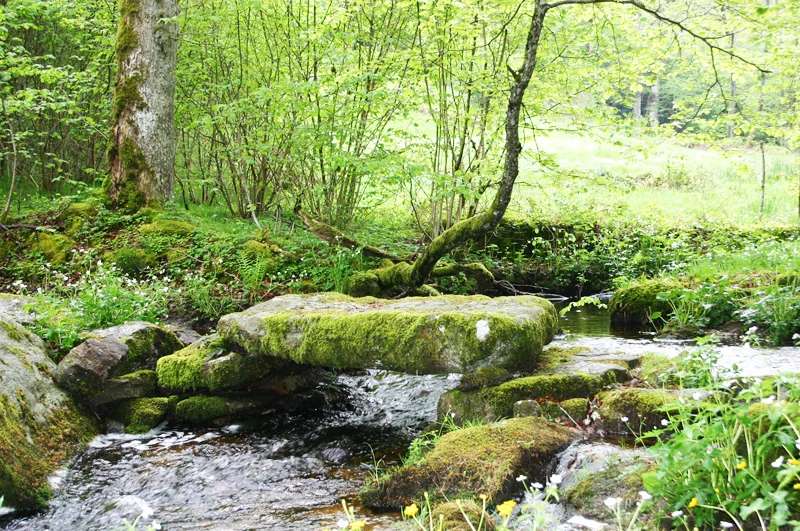 Randonnée Le chemin de l'eau · Faux-la-Montagne