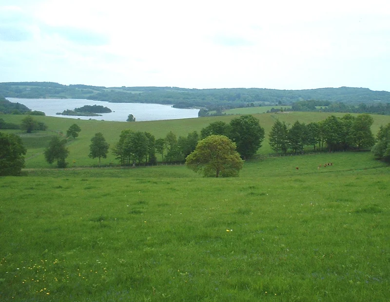 Randonnée Tour du Lac de la Vaud-Gelade · Saint-Marc-à-Loubaud