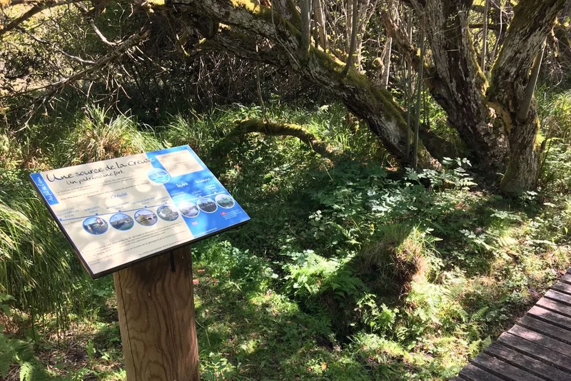 Randonnée Les Sources de la Creuse · Le Mas-d'Artiges