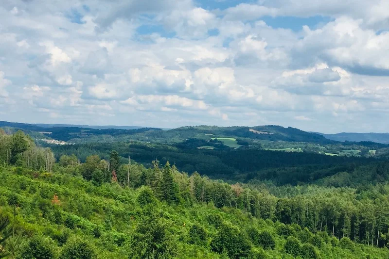 Randonnée Circuit des Charbonnières et de la Chapelle · Cheissoux