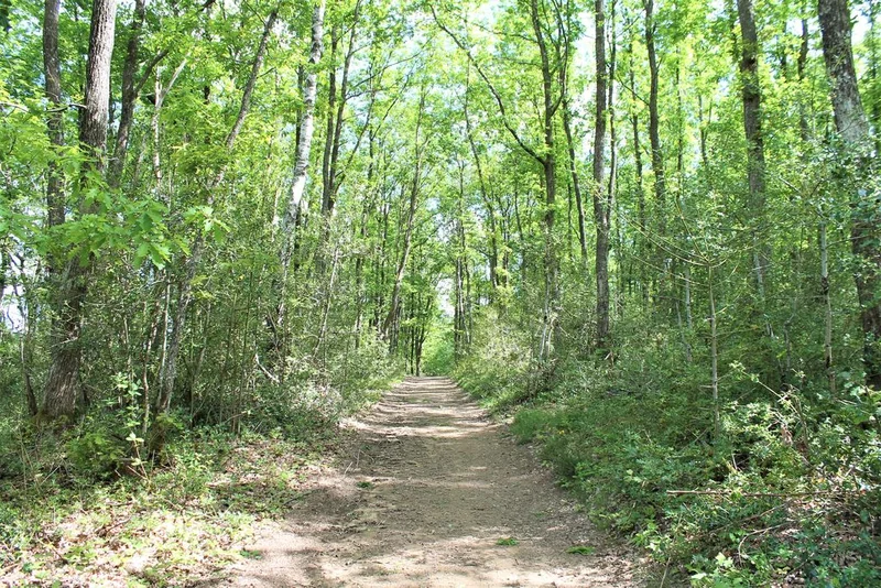Randonnée Sentier des Blaireaux · Saint-Rémy