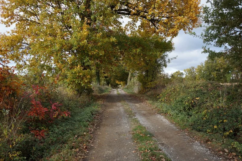 Randonnée Sentier du Menhir · Saint-Paul