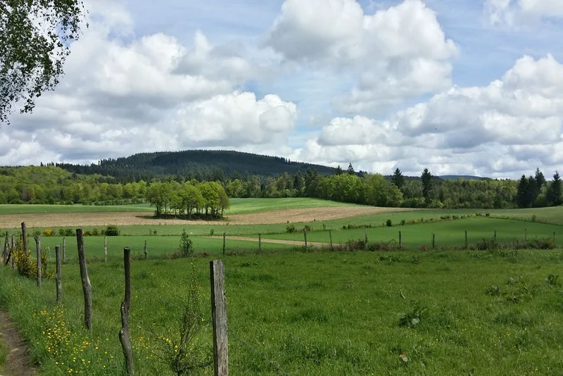 Randonnée Le Circuit des deux clochers · Madranges