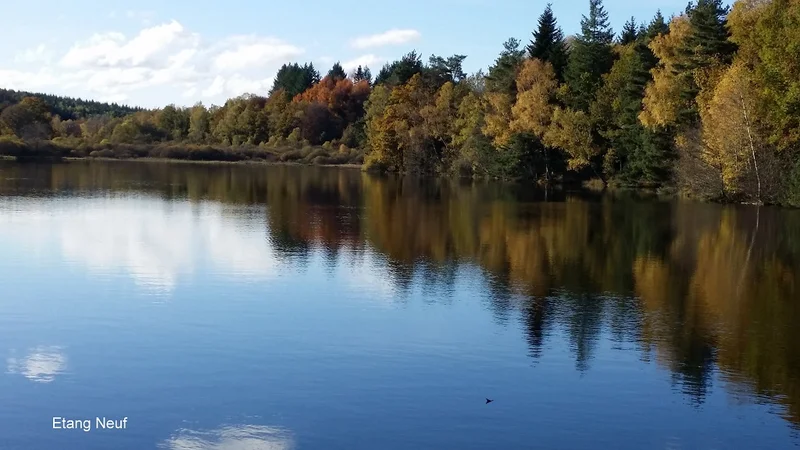 Randonnée Autour des Etangs · Flayat