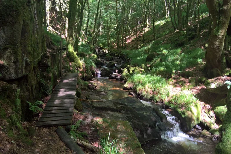 Randonnée La cascade de la Tine · Pradines