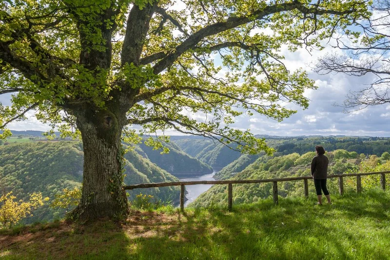 Randonnée Marchez dans les pas du diable… Raccourci · Saint-Julien-près-Bort