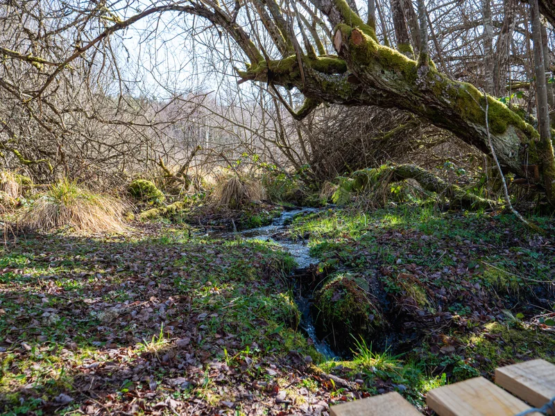 Randonnée Au fil de l’eau · Le Mas-d'Artiges