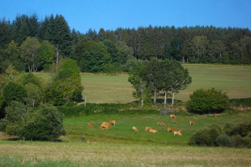 Randonnée Eau, toi tombée du ciel · Saint-Fréjoux