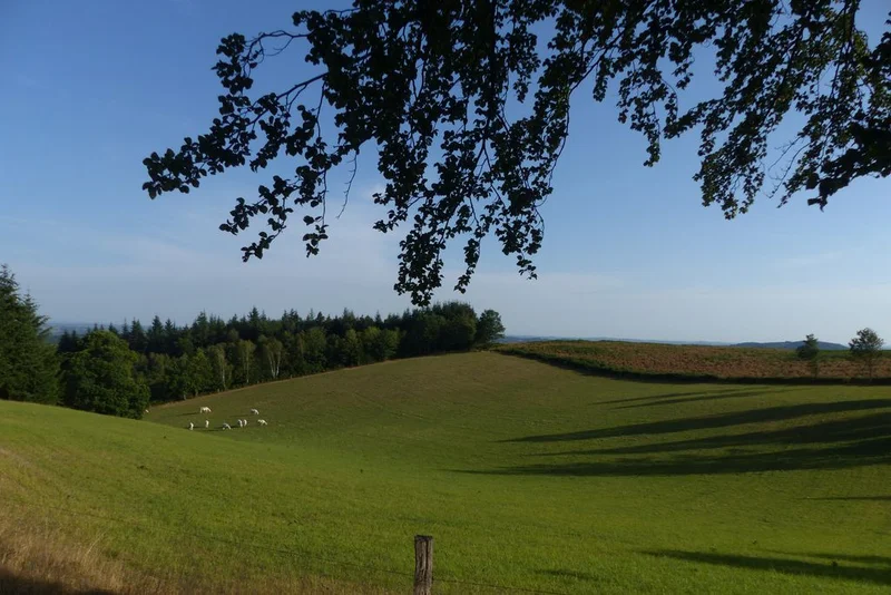 Randonnée Au fil de la Dejoune · Poussanges