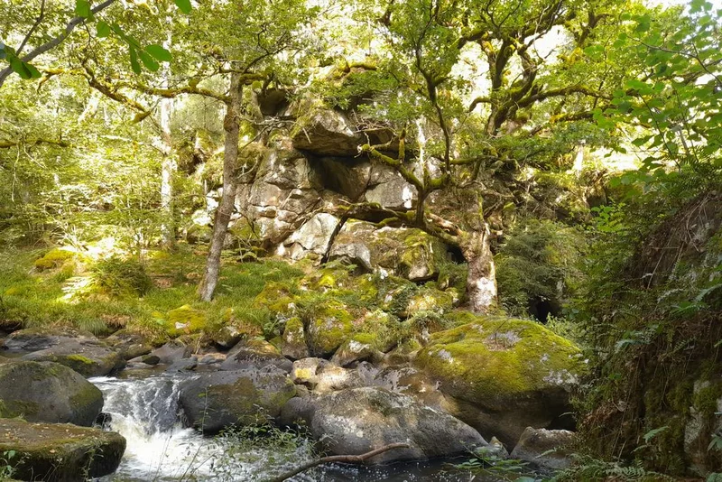 Randonnée Le Gour de Vaux · Vallière