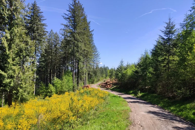 Randonnée Circuit du Mont de Nedde · Nedde