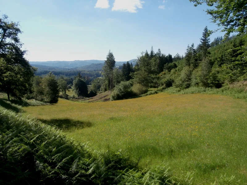 Randonnée Les balcons de Guimont · Nedde