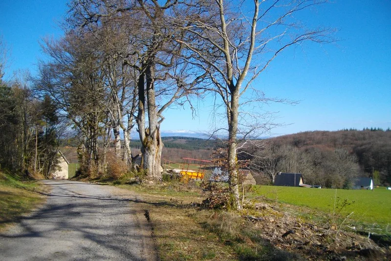 Randonnée Circuit des deux sommets · Saint-Oradoux-de-Chirouze
