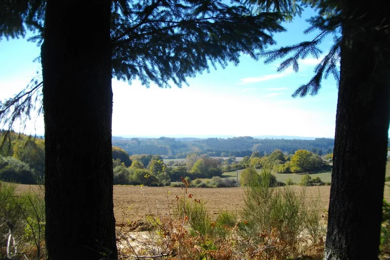 Randonnée Les Templiers (raccourci) · Courteix