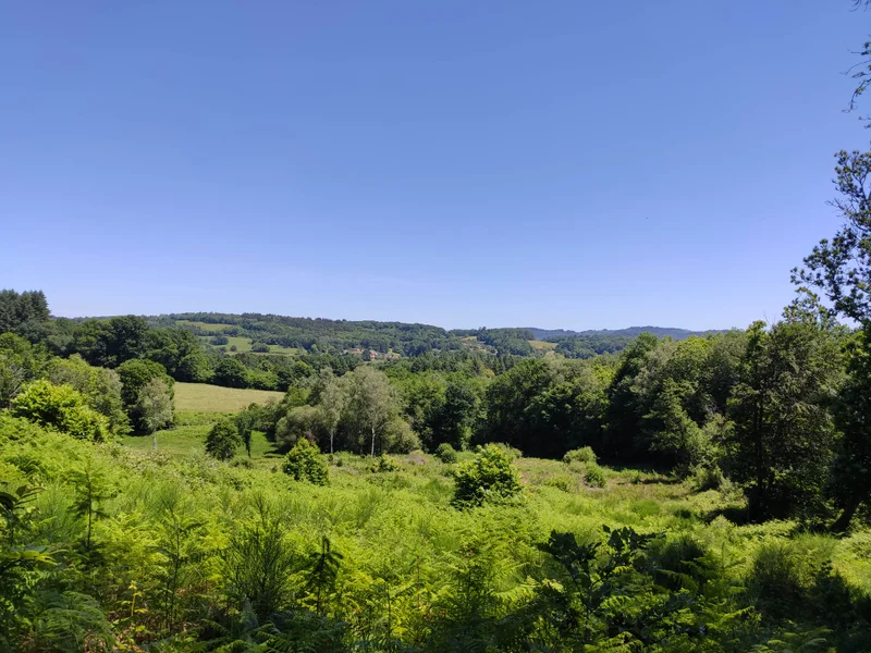 Randonnée Boucle du Mont Larron · Saint-Julien-le-Petit