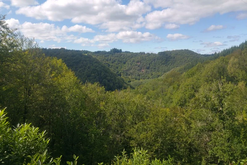 Randonnée Le sentier des charbonniers · Saint-Pantaléon-de-Lapleau