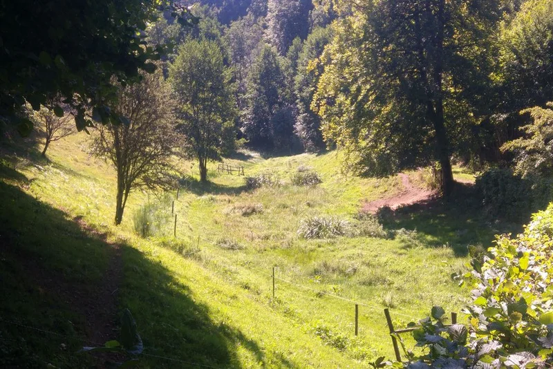 Randonnée Au fil de l’eau · Saint-Hilaire-Luc
