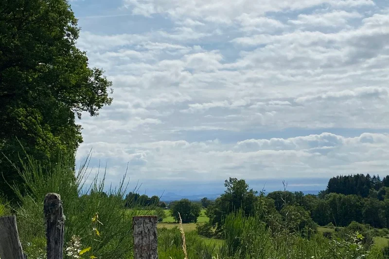 Randonnée Chemin du Bois d’Amont · Flayat