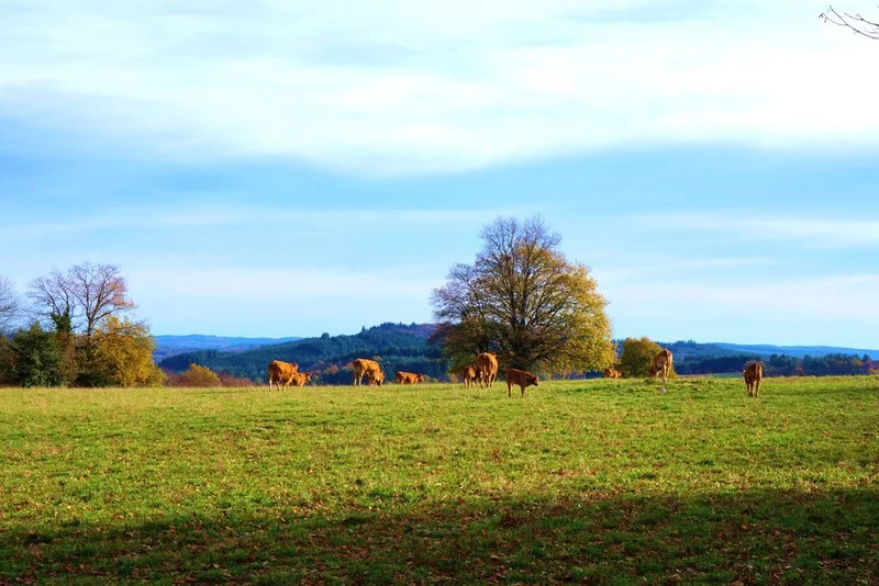 Randonnée Circuit des Puys · Moissannes