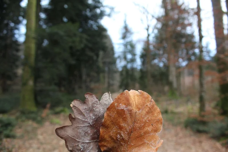 Randonnée La Pierre des 4 communes · Arnac-Pompadour