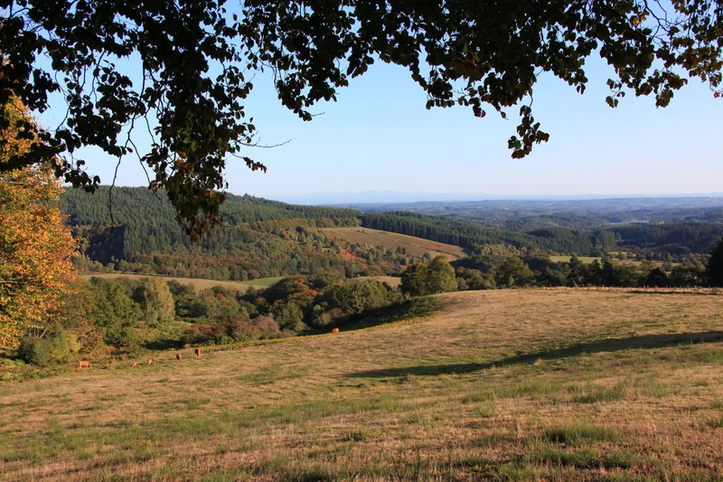 Randonnée Le Toit du Limousin (raccourci) · Meymac